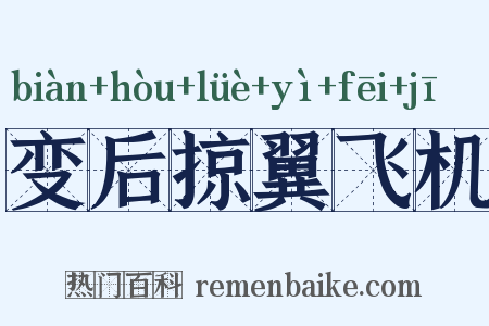 变后掠翼飞机是什么意思的图片